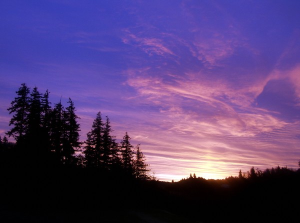 December Morning