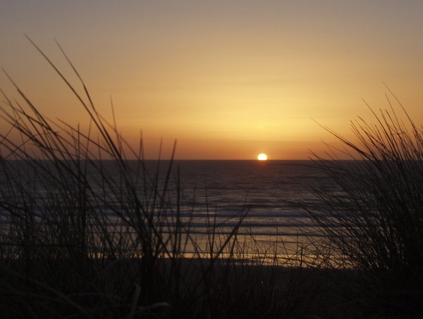 Surrender to the Sea