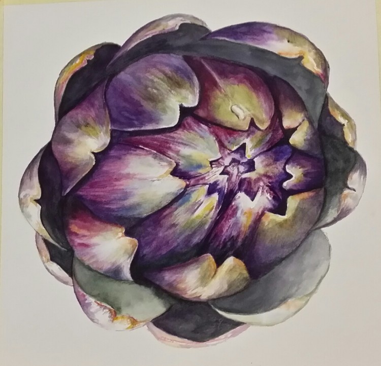 artichoke
