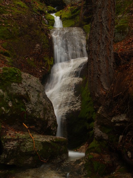 Popcorn Springs