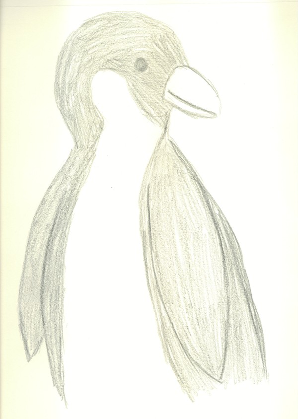 penguin