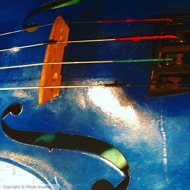 violin