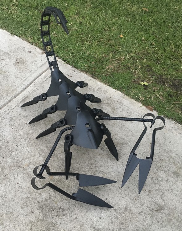 Australian Scorpion 