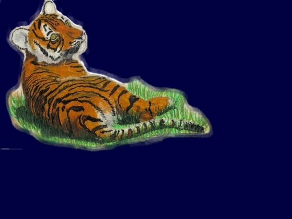 Tiger cub