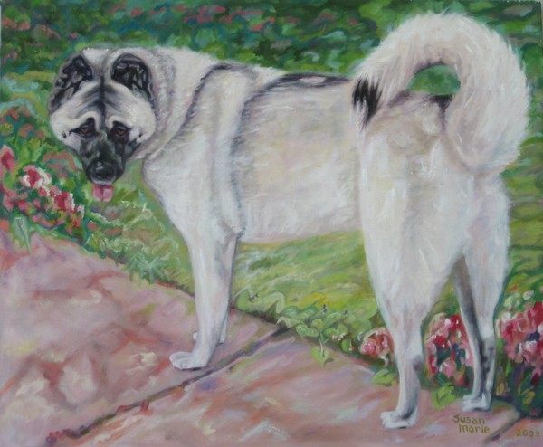 Sheba