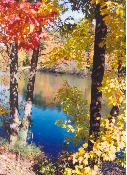 Fall in color