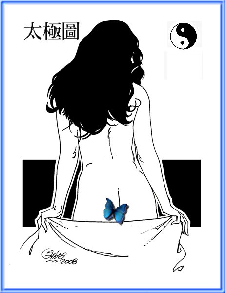 YIN YANG - V