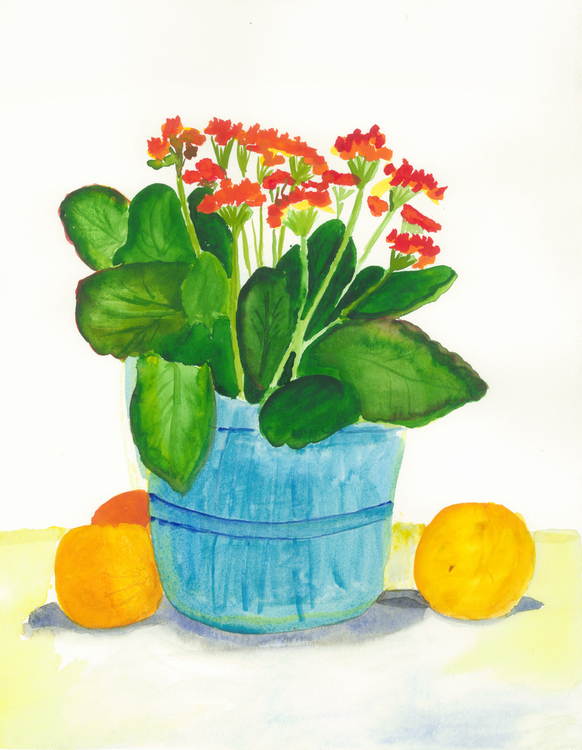 oranges and flowers