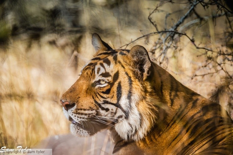 India 2017-0506