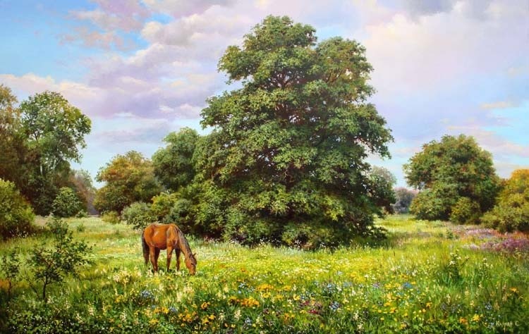 Summer Meadow