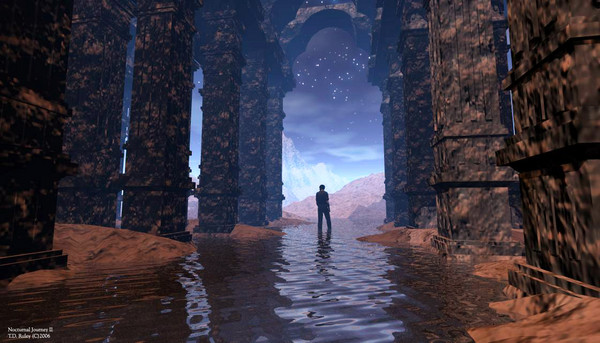 Nocturnal Journey II