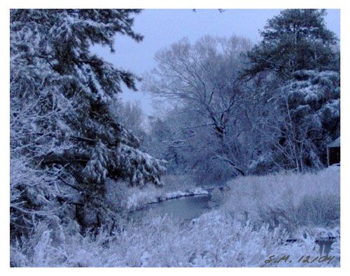 Snowy Day1
