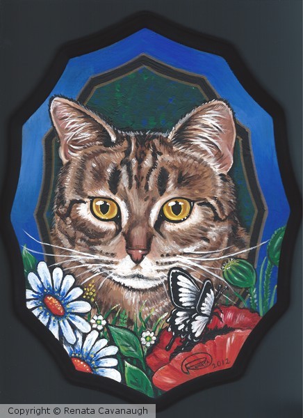 Kitty