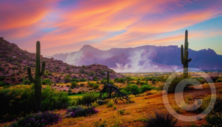 Sonoran spring storm copy