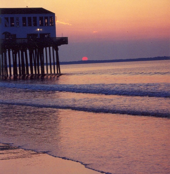 old orchard