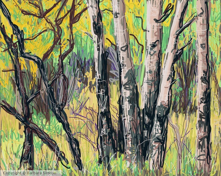Aspens