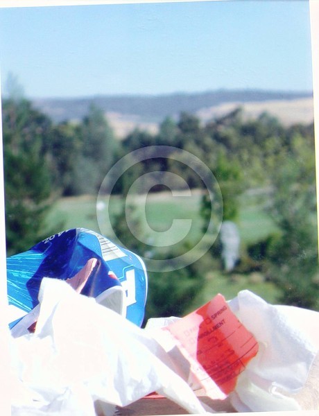 littered landscape