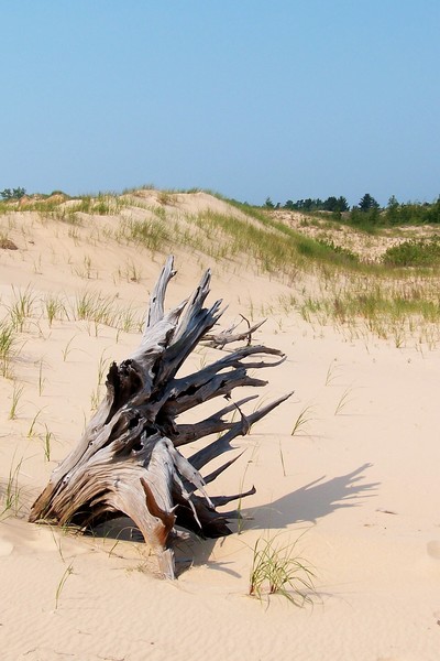 dunes of silver lake