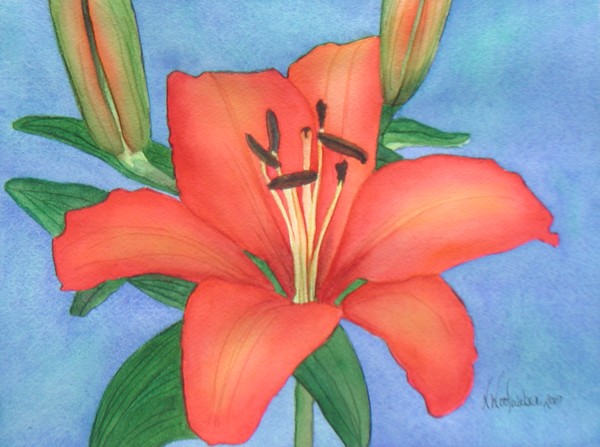 Sensuous Lilly