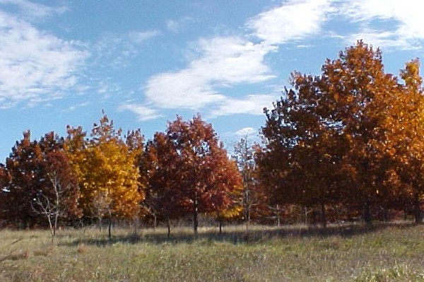 Nebraska Colors of Autumn