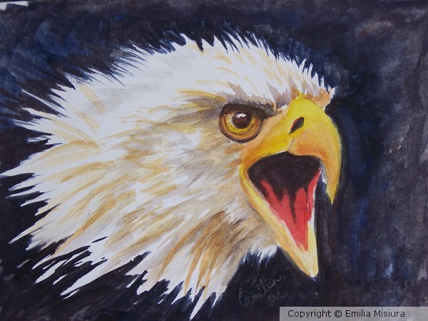 Bold Eagle