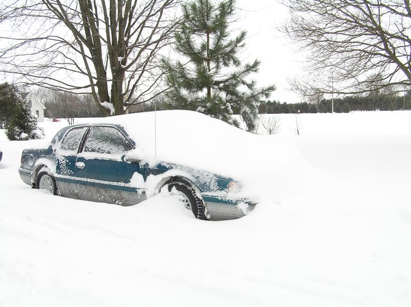 Snowed In
