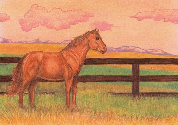 Chestnut Sunset