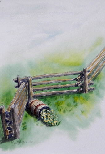 Split rails, spilt flowers