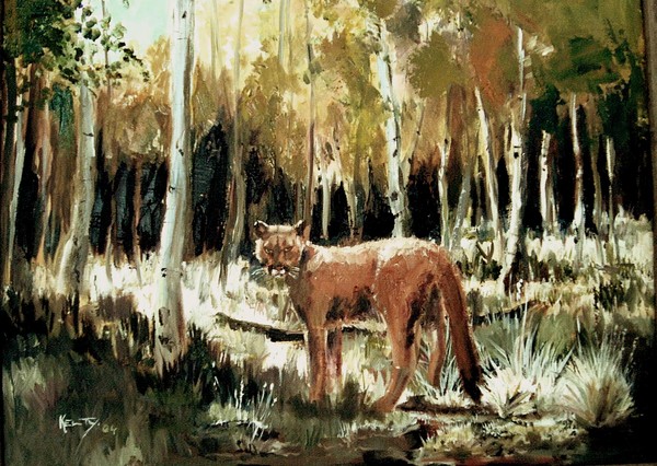 A Visitor to the Aspen Grove