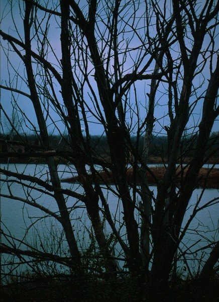 Boogey Man's Island