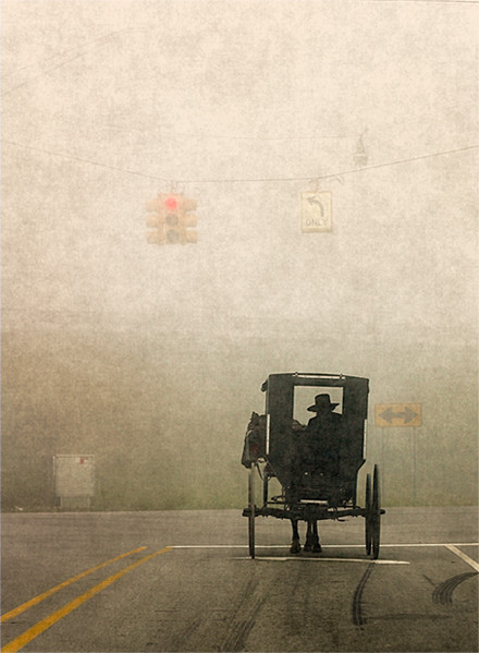 Stop Light, Amish Country