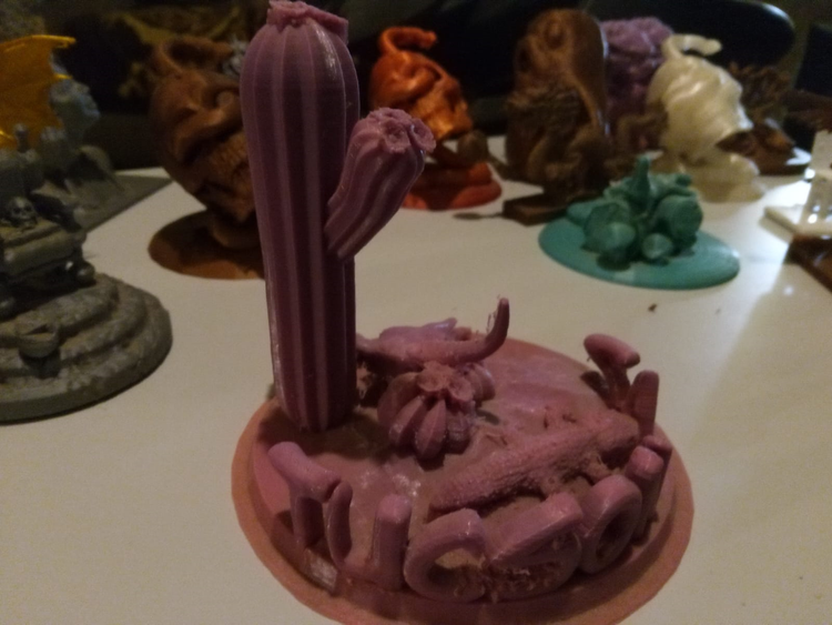 TucsonSaghroPink1