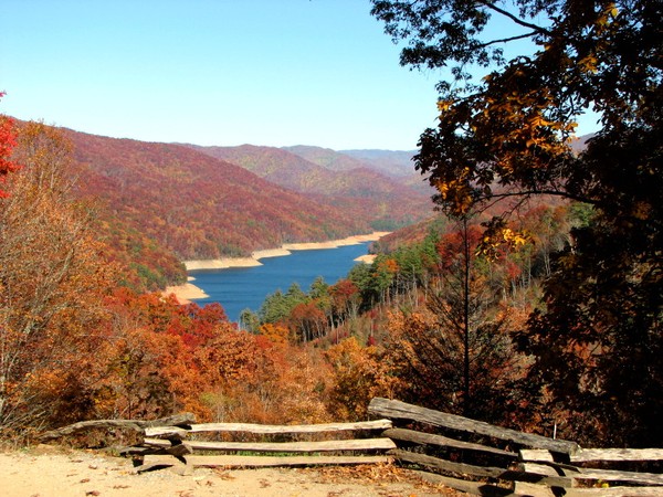 Fall Colors