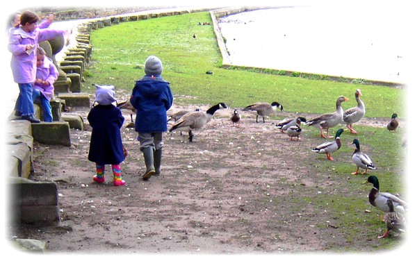 Feeding time