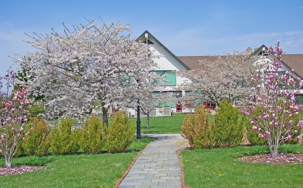 Spring at Arsht Hall