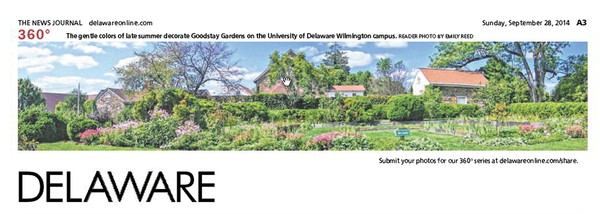 194th News Journal Panorama-Goodstay Gardens