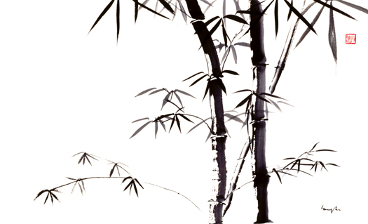 Bamboo