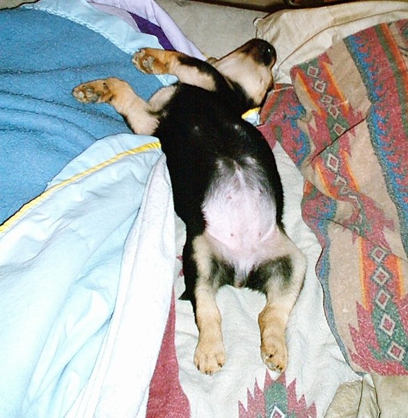 Nap Time