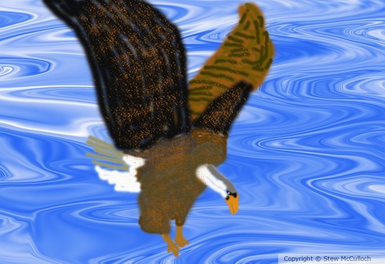 Eagle out Fishing   P289