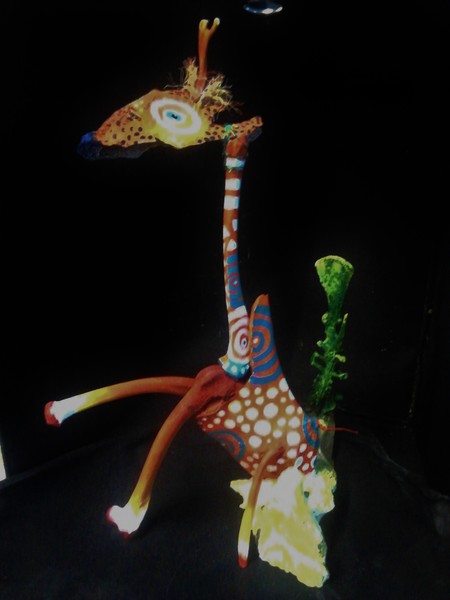 sitting giraffe