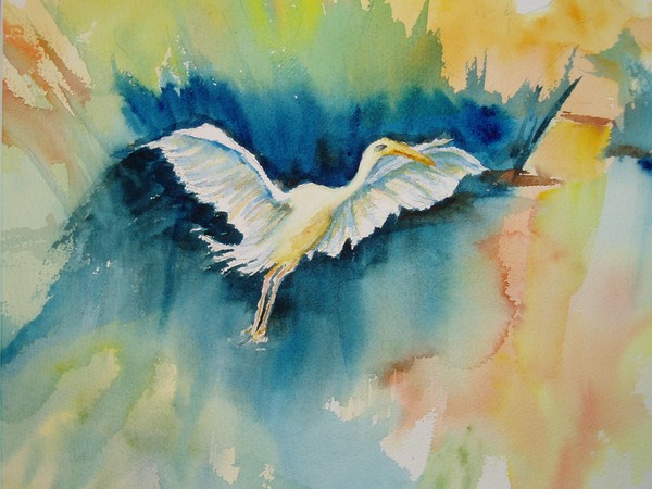 White Bird