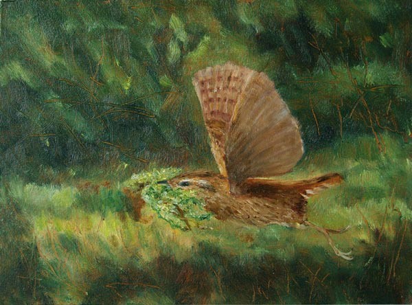 Moss For The Nest
