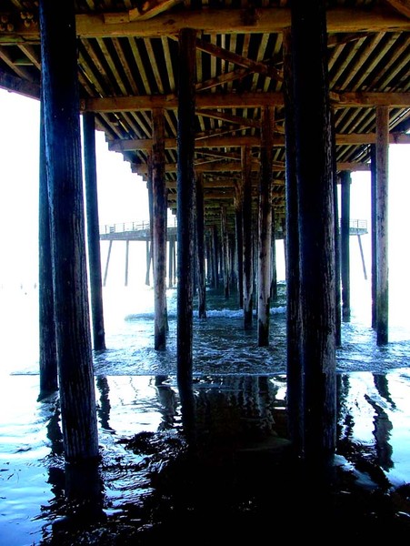 Under the Pier