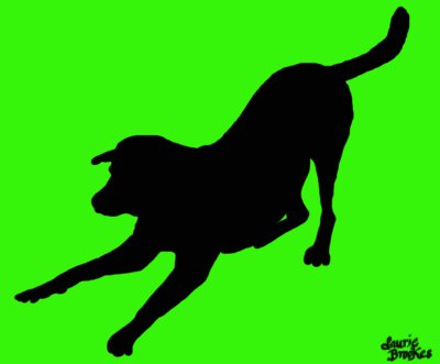 Dog12
