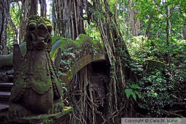 Sacred Monkey Forest #2