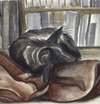 Old Dog
