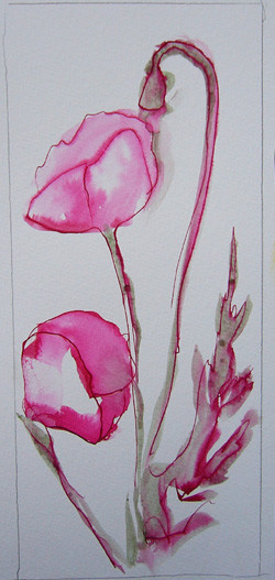 Opera Ink Poppies