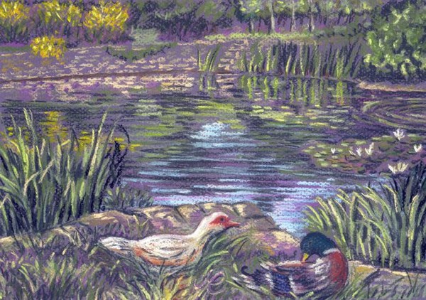 Duck Pond