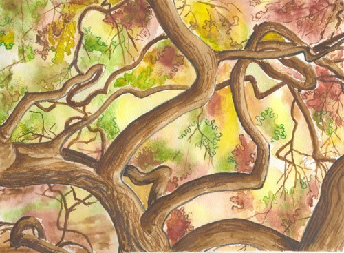 Lothlorien
