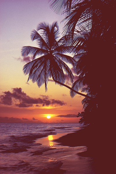 Sunset Scene
